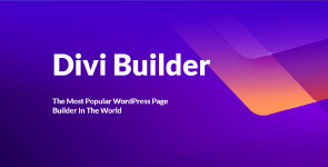 Divi builder